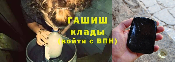 шишки Новодвинск