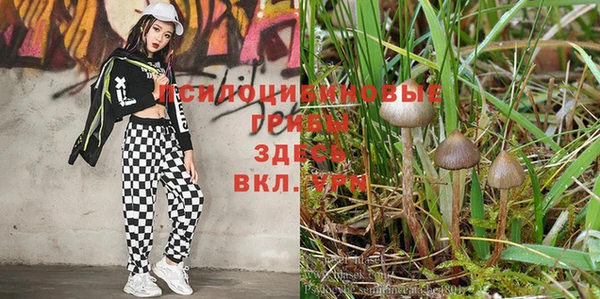 спиды Балахна