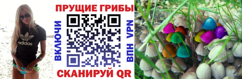 сайты даркнета состав  Озёры  Галлюциногенные грибы GOLDEN TEACHER 
