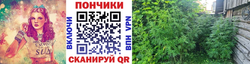Бошки марихуана конопля  ссылка на мегу ССЫЛКА  Озёры 